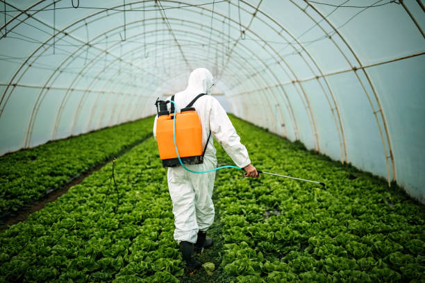 Best Best Pest Control Companies  in Gordon, NE