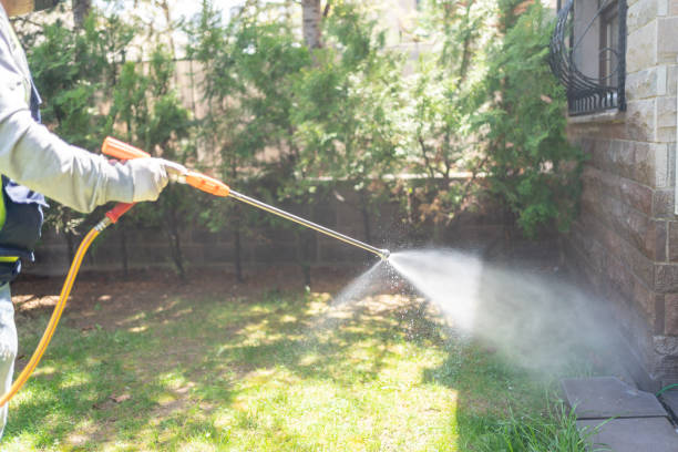 Best Pest Removal Services  in Gordon, NE